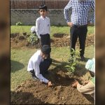 growimg trees, greenery, nature, Gardens, greener Pakistan