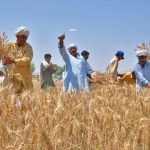 Interest free loans for seasonal crops a blessing for small farmers