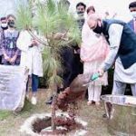 President urges plantation drive