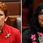 Greens senator Mehreen Faruqi mulls human rights commission complaint over ‘racist’ Pauline Hanson Twitter war