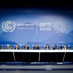COP27: More than 25 countries band together to keep forest promise