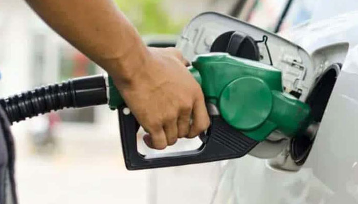 Petroleum minister, Swedish envoy discuss bilateral cooperation